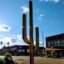 You don't have to go south to see the "Giant Saguaro Cactus" in Casey IL (population 2264)