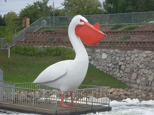 No one can peli-can better then the World's Largest Pelican Pelican in Rapids,MN